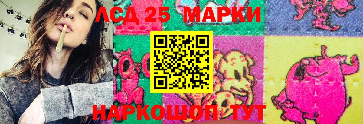Бердск  купить наркотики цена  Вход с VPN  Наркотические марки 1,8мг 